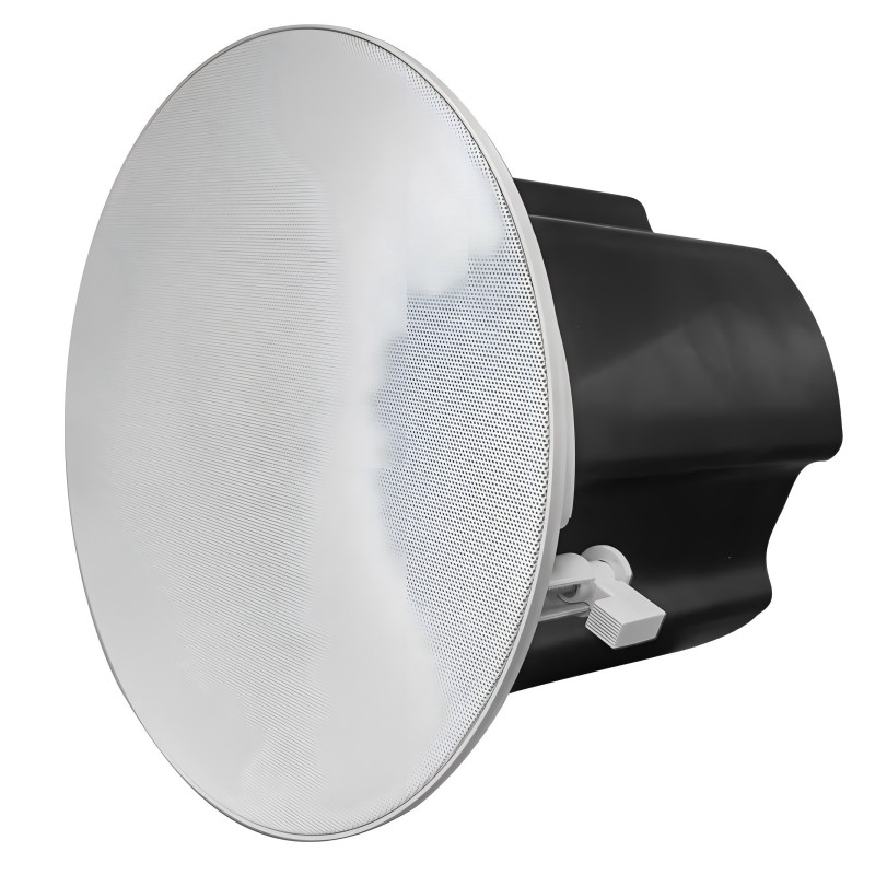 Ist der Dante-Lautsprecher mit Ihrer vorhandenen Audioausrüstung kompatibel?