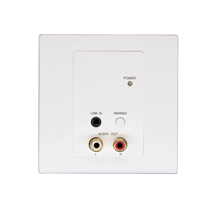 2Ch RCA Bluetooth Dante Audio -Panel